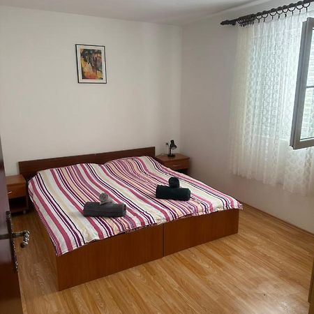 Apartmani Marko Novalja Zewnętrze zdjęcie